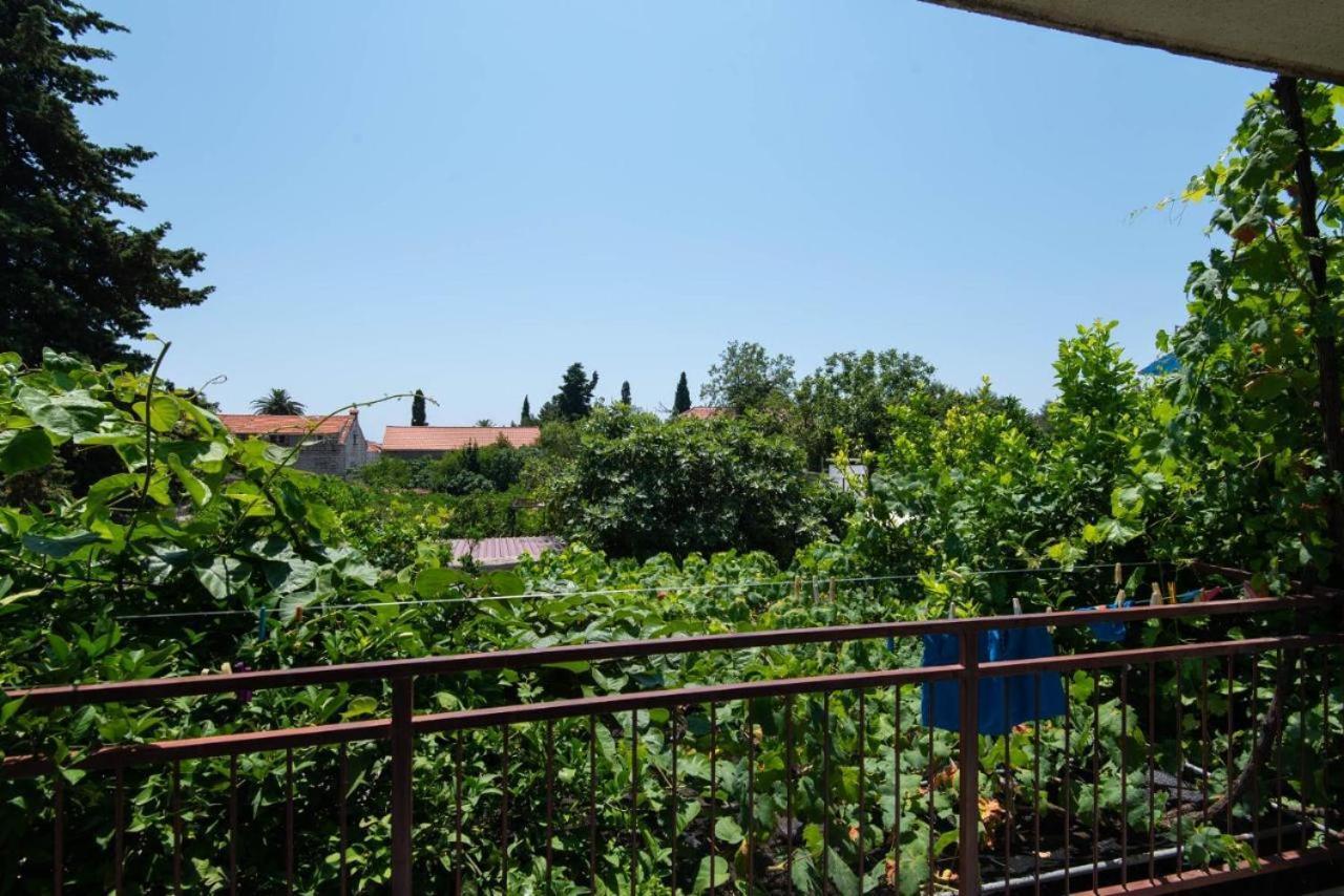 Apartments Ljiljana Оребич Екстер'єр фото